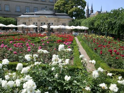 Der Rosengarten in Bamberg